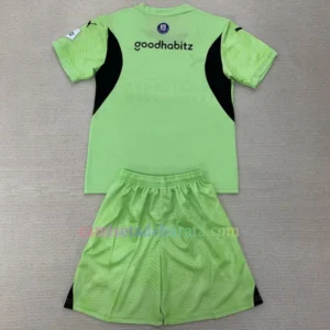 Camiseta Portero PSV 2024/25 Niños Verde