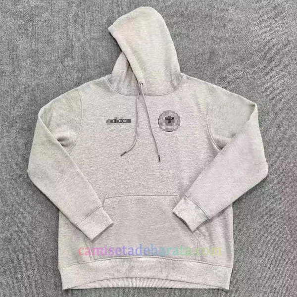 Sudadera Capucha Alemania 2024 Gris