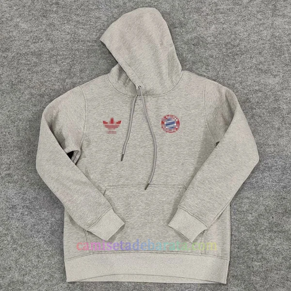 Sudadera Capucha Bayern 2024/25 Gris